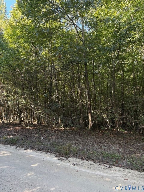 Photo of 01 doswell town Road, Meherrin, VA 23954 (MLS # 2626877)