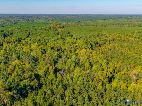 Tiny photo for 01 doswell town Road, Meherrin, VA 23954 (MLS # 2626877)