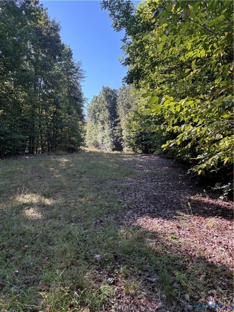 Tiny photo for 01 doswell town Road, Meherrin, VA 23954 (MLS # 2626877)