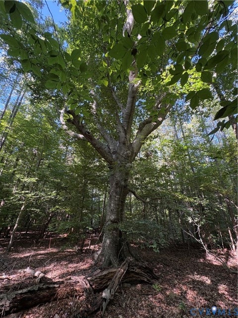 Tiny photo for 01 doswell town Road, Meherrin, VA 23954 (MLS # 2626877)