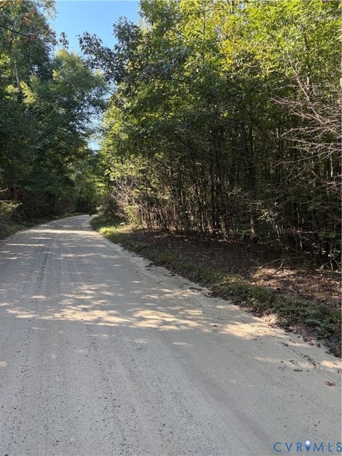 Tiny photo for 01 doswell town Road, Meherrin, VA 23954 (MLS # 2626877)