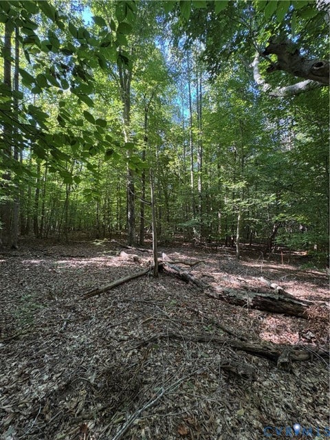 Tiny photo for 01 doswell town Road, Meherrin, VA 23954 (MLS # 2626877)