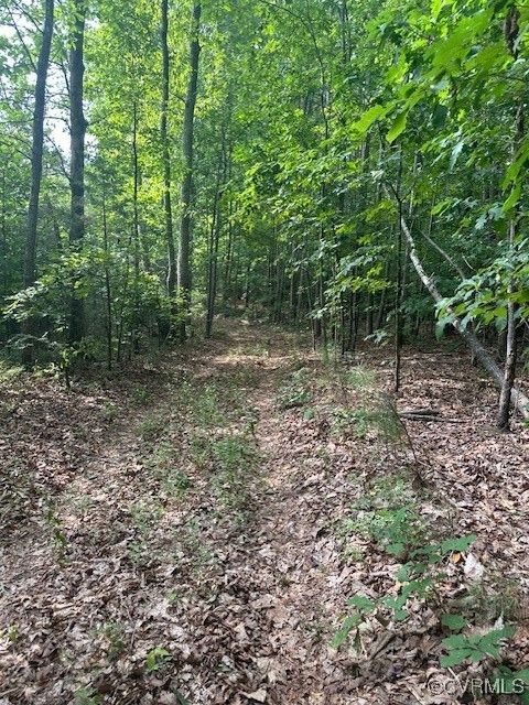 Tiny photo for 0 Ballsville Road, Powhatan, VA 23139 (MLS # 2519909)