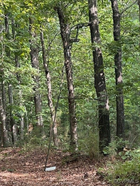 Tiny photo for 0 Ballsville Road, Powhatan, VA 23139 (MLS # 2519909)