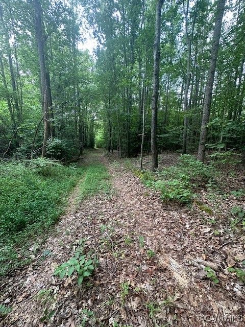 Tiny photo for 0 Ballsville Road, Powhatan, VA 23139 (MLS # 2519909)