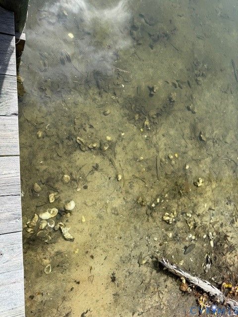 Tiny photo for 193 Deep Water Lane, Reedville, VA 22539 (MLS # 2609196)