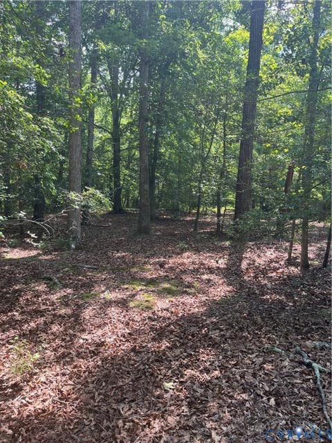 Tiny photo for TBD Minitree Glen Lane, Providence Forge, VA 23140 (MLS # 2622435)