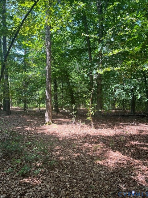 Tiny photo for TBD Minitree Glen Lane, Providence Forge, VA 23140 (MLS # 2622435)