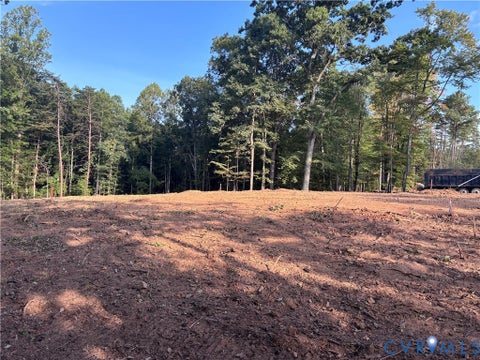 Tiny photo for TBD Stony Mill School Road, Danville, VA 24540 (MLS # 2628842)