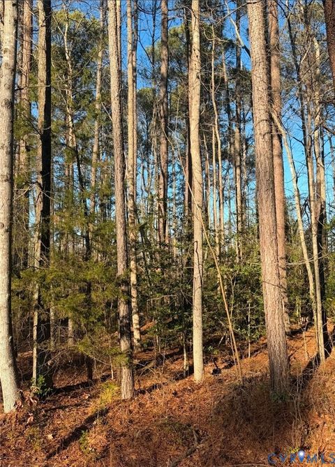 Photo of 119 American Drive, Ruther Glen, VA 22546 (MLS # 2601859)