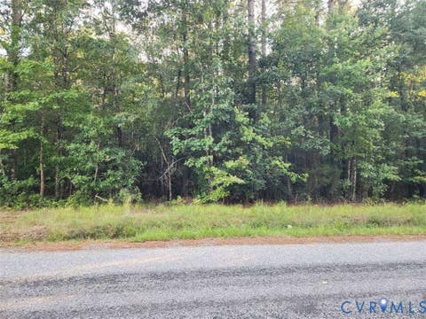 Tiny photo for Lot 8 Loco School Rd, Sussex, VA 23882 (MLS # 2622857)