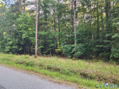 Tiny photo for Lot 8 Loco School Rd, Sussex, VA 23882 (MLS # 2622857)