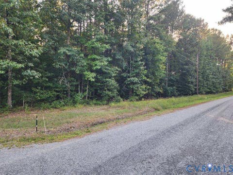 Tiny photo for Lot 8 Loco School Rd, Sussex, VA 23882 (MLS # 2622857)