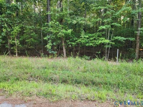 Photo of Lot 8 Loco School Rd, Sussex, VA 23882 (MLS # 2622857)