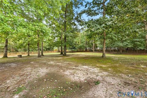 Tiny photo for 8100 Gold Acres Farm Road, Prince George, VA 23875 (MLS # 2528980)