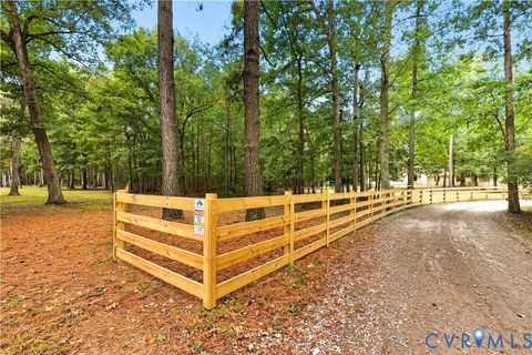 Tiny photo for 8100 Gold Acres Farm Road, Prince George, VA 23875 (MLS # 2528980)