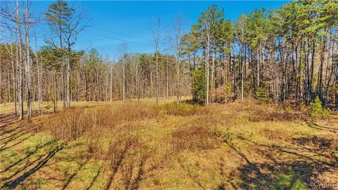 Tiny photo for 0 Pinhook Road, Rockville, VA 23146 (MLS # 2507554)