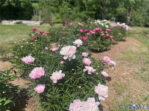 Tiny photo for 3401 Deep Bottom Road, Prince George, VA 23860 (MLS # 2614090)