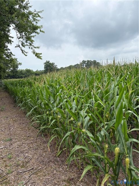 Tiny photo for Dinwiddie, VA 23841 (MLS # 2620382)