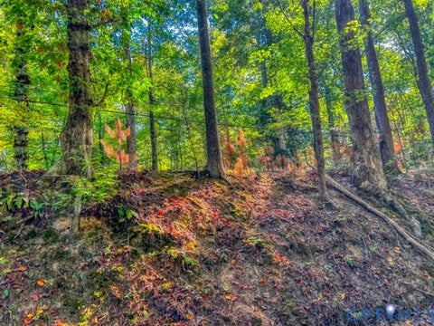 Tiny photo for 234 Sandy Bay Road, Williamsburg, VA 23185 (MLS # 2628226)