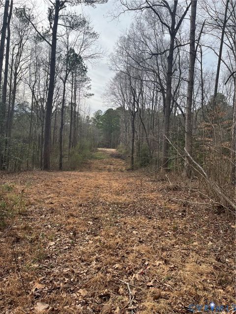 Tiny photo for 14711 Gatewood Road, DeWitt, VA 23840 (MLS # 2601995)