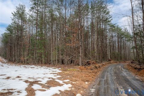 Tiny photo for 0 Shelton Lane, Mineral, VA 23117 (MLS # 2603531)