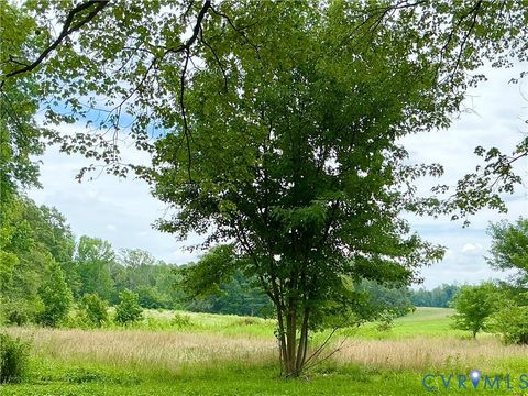 Tiny photo for 15618 CROSS COUNTY (1.34 ACRE) Road, Louisa, VA 23117 (MLS # 2615284)