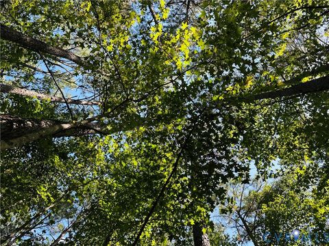 Tiny photo for 00 Old Wagner Rd Road, Disputanta, VA 23805 (MLS # 2525799)