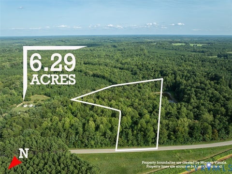 Tiny photo for 0 Riceville Road, Java, VA 24557 (MLS # 2621733)