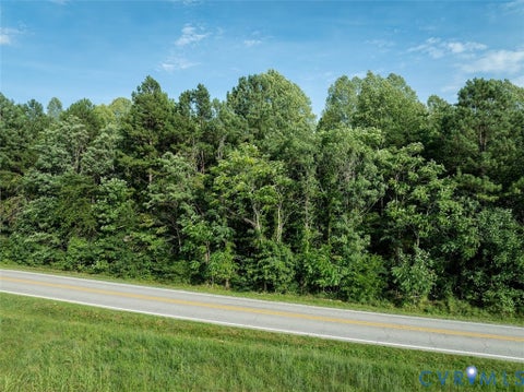 Tiny photo for 0 Riceville Road, Java, VA 24557 (MLS # 2621733)