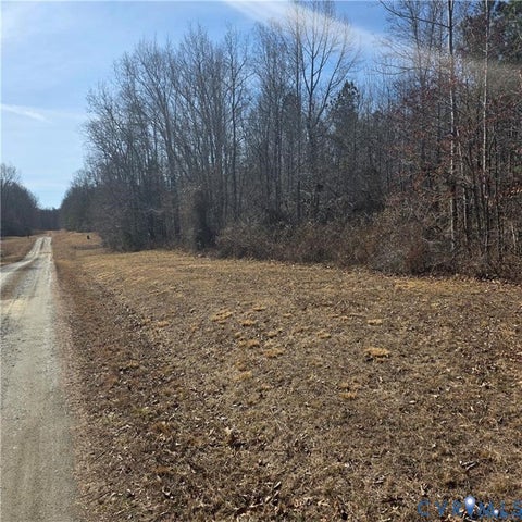 Tiny photo for 0 Wards Forest Avenue, Beaverdam, VA 23015 (MLS # 2625257)