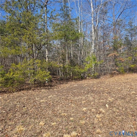 Tiny photo for 0 Wards Forest Avenue, Beaverdam, VA 23015 (MLS # 2625257)