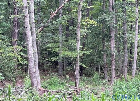 Photo of 00 Ware Road, Quinton, VA 23141 (MLS # 2533763)