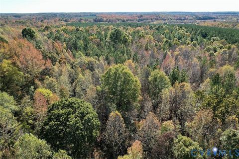 Tiny photo for 941 Saxkey Road, Drakes Branch, VA 23937 (MLS # 2530016)