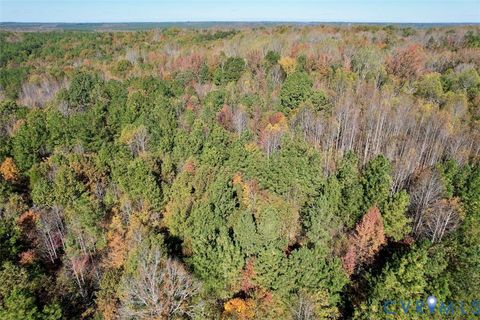 Tiny photo for 941 Saxkey Road, Drakes Branch, VA 23937 (MLS # 2530016)