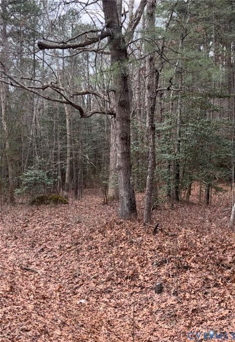 Photo of 0 S Crater Road, Prince George, VA 23803 (MLS # 2602669)