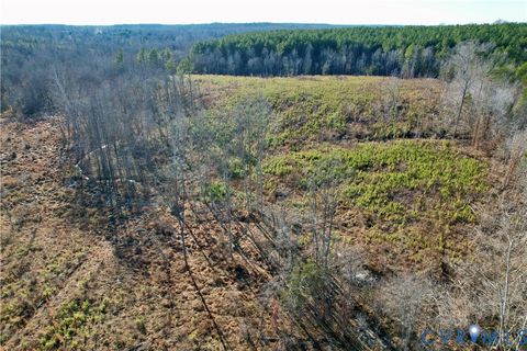 Tiny photo for 5209 Indian Oak Road, Crewe, VA 23930 (MLS # 2533749)