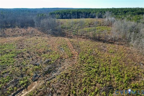 Tiny photo for 5209 Indian Oak Road, Crewe, VA 23930 (MLS # 2533749)