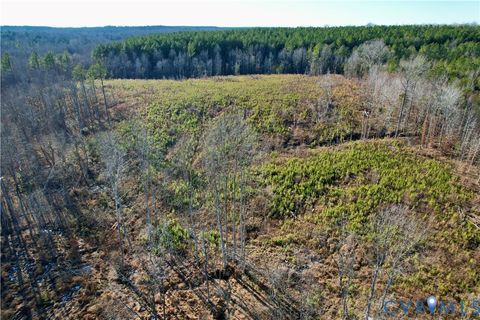 Tiny photo for 5209 Indian Oak Road, Crewe, VA 23930 (MLS # 2533749)