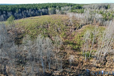 Tiny photo for 5209 Indian Oak Road, Crewe, VA 23930 (MLS # 2533749)