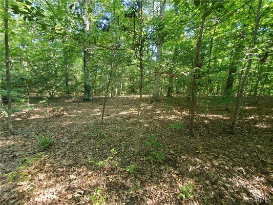 0 OLIVET CHURCH ROAD, NEW KENT, VA 23124 - Image 8fa883a0f02aaf3ad4dd894e0bcfae6e/3256749625