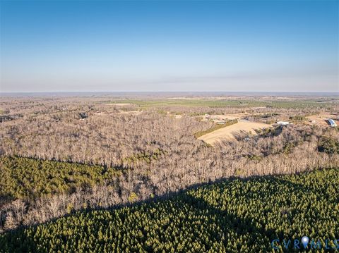 Tiny photo for 25805 N James Madison Highway, New Canton, VA 23123 (MLS # 2604452)