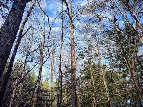 Tiny photo for 19001 Old Stage Road, Dinwiddie, VA 23841 (MLS # 2605763)