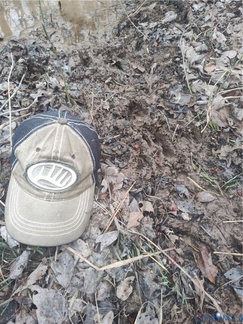 Tiny photo for 19001 Old Stage Road, Dinwiddie, VA 23841 (MLS # 2605763)