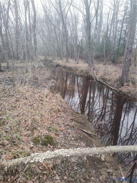 Tiny photo for 19001 Old Stage Road, Dinwiddie, VA 23841 (MLS # 2605763)