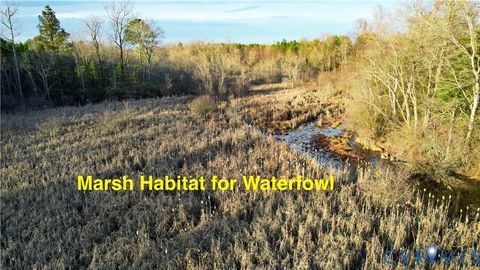 Tiny photo for 19001 Old Stage Road, Dinwiddie, VA 23841 (MLS # 2605763)