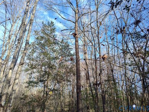 Tiny photo for 19001 Old Stage Road, Dinwiddie, VA 23841 (MLS # 2605763)