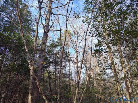Tiny photo for 19001 Old Stage Road, Dinwiddie, VA 23841 (MLS # 2605763)
