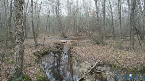 Tiny photo for 19001 Old Stage Road, Dinwiddie, VA 23841 (MLS # 2605763)
