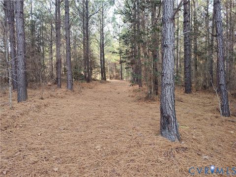 Tiny photo for 19001 Old Stage Road, Dinwiddie, VA 23841 (MLS # 2605763)